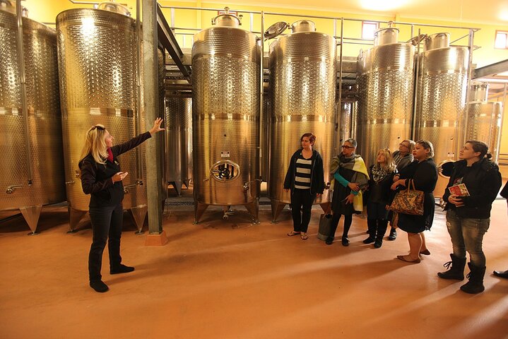 Award-Winning Hunter Valley Wine & Cheese Tour from Sydney
