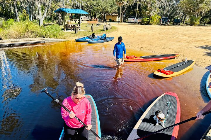 Ormond Beach Manatee and Nature Tour Kayaking or Paddle Boarding