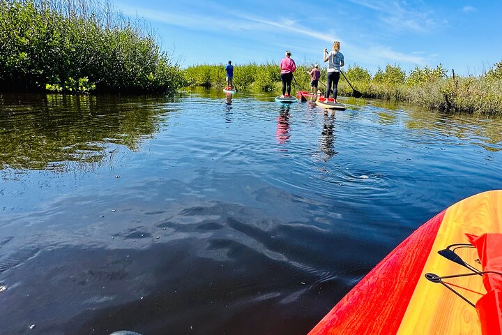 Ormond Beach Manatee and Nature Tour Kayaking or Paddle Boarding