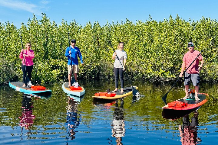 Ormond Beach Manatee and Nature Tour Kayaking or Paddle Boarding