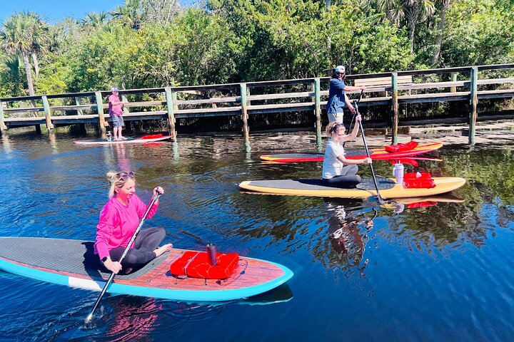 Ormond Beach Manatee and Nature Tour Kayaking or Paddle Boarding