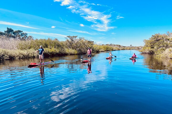 Ormond Beach Manatee and Nature Tour Kayaking or Paddle Boarding