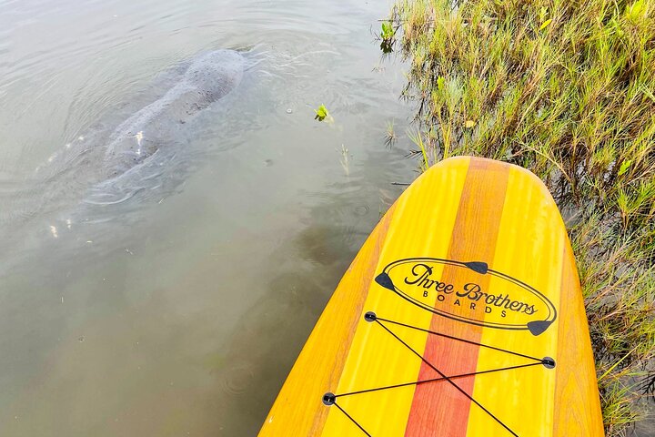 Ormond Beach Manatee and Nature Tour Kayaking or Paddle Boarding