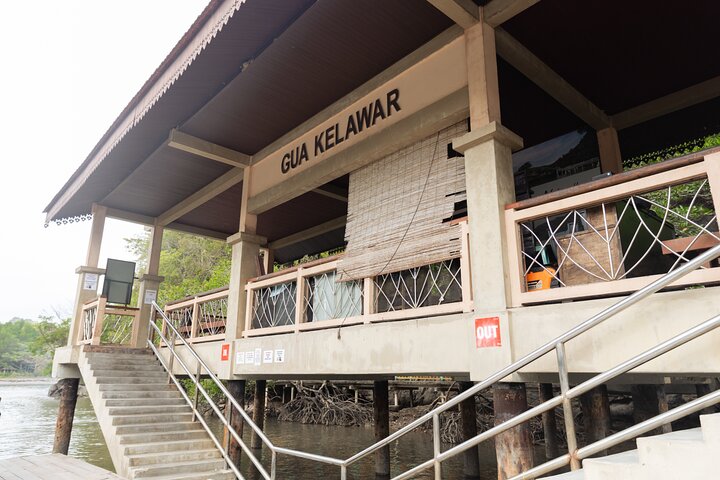 3 Hours Mangrove Boat Tour in Langkawi