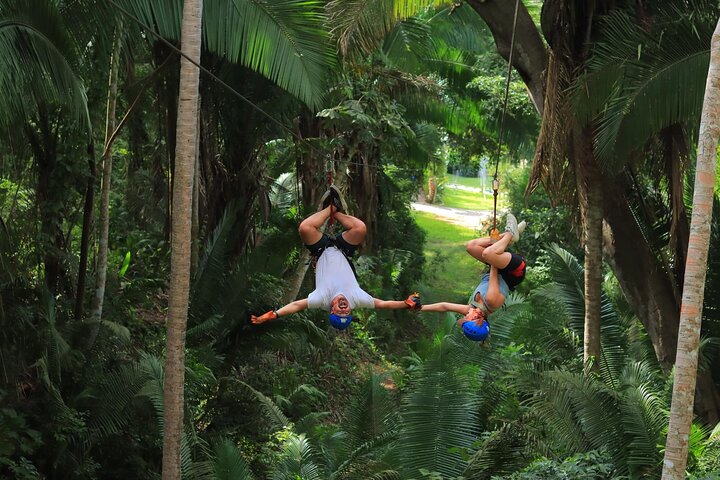 Sayulita Jungle Thrills: Canopy Tour & Zip-line Adventure