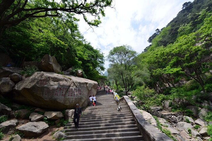 Private day tour to Mout Tai with lunch start from Taian Shandong