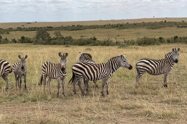 Hell's Gate Cycling Tour & Lake Naivasha Boat Ride from Nairobi