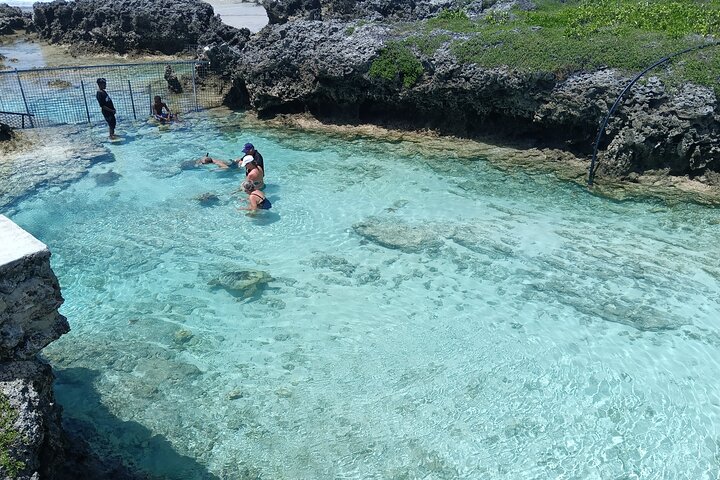 Discover Cascades & Turtle Experience with Yumi Tours