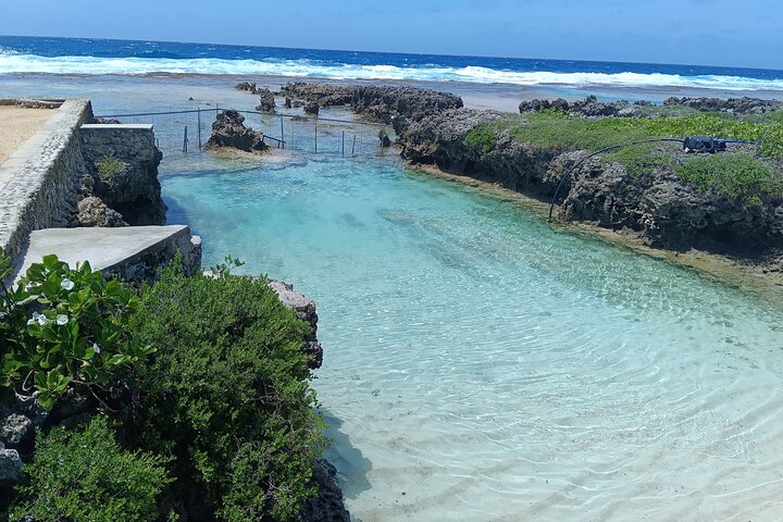 Discover Cascades & Turtle Experience with Yumi Tours