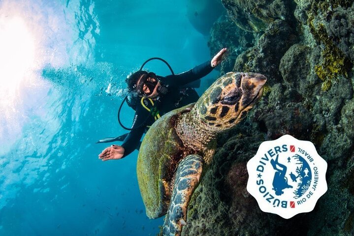 Diving for Beginners and Accredited - Búzios RJ