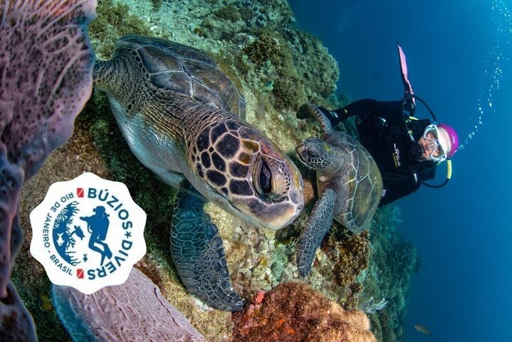Diving for Beginners and Accredited - Búzios RJ