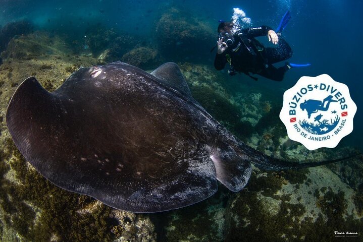 Diving for Beginners and Accredited - Búzios RJ