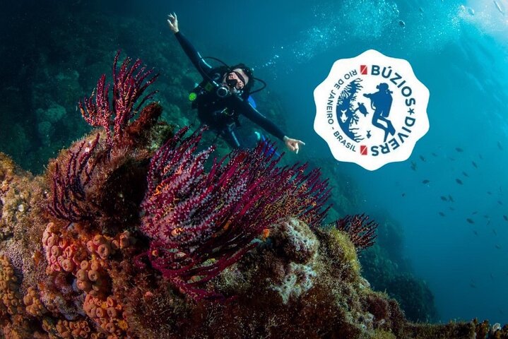 Diving for Beginners and Accredited - Búzios RJ