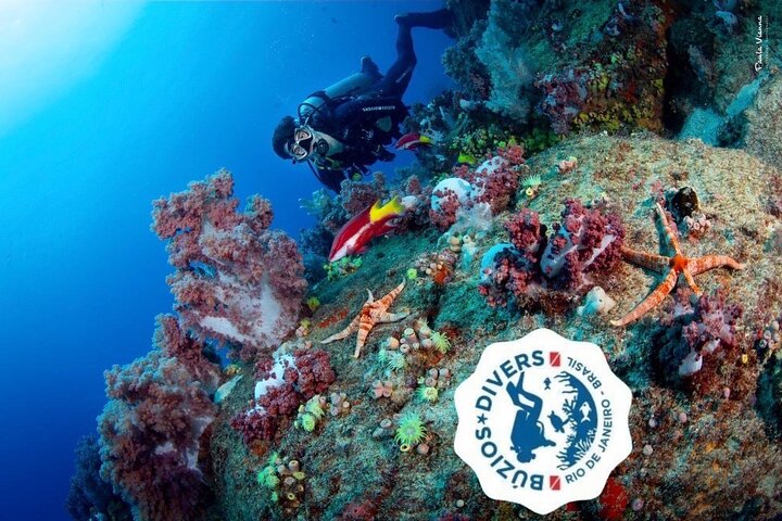 Diving for Beginners and Accredited - Búzios RJ