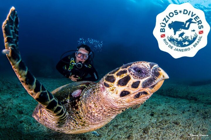 Diving for Beginners and Accredited - Búzios RJ