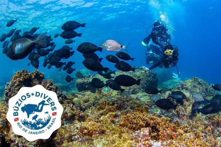 Diving for Beginners and Accredited - Búzios RJ