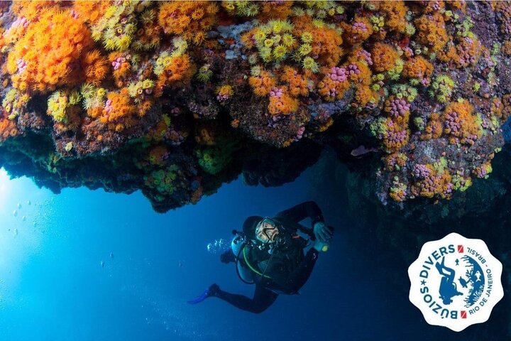 Diving for Beginners and Accredited - Búzios RJ