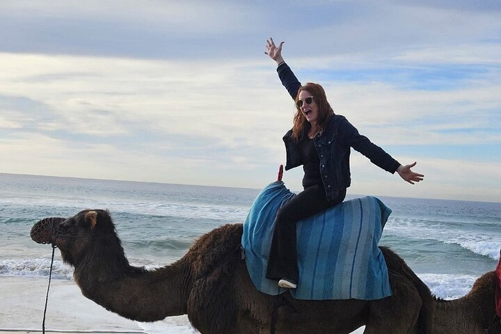 Top VIP Private Tour of Tangier from Estepona All Inclusive