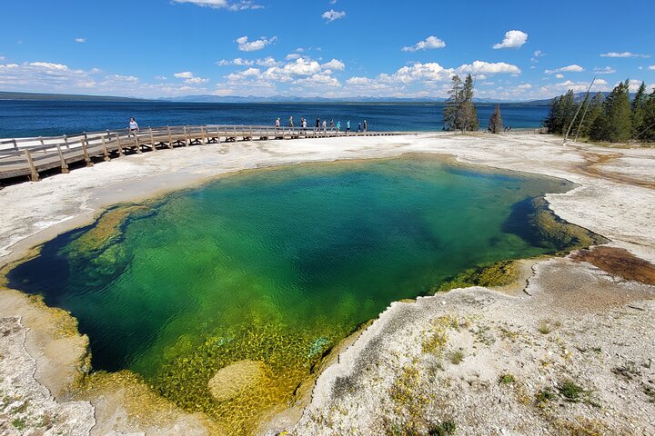Guided Yellowstone Tour from Big Sky and West Yellowstone