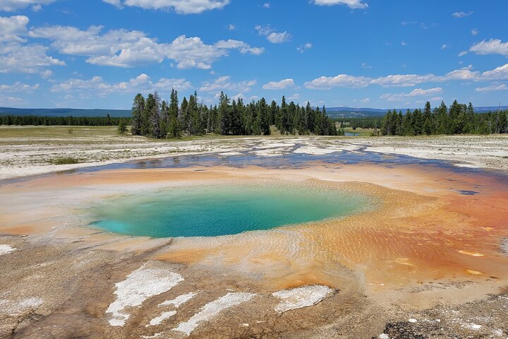 Guided Yellowstone Tour from Big Sky and West Yellowstone