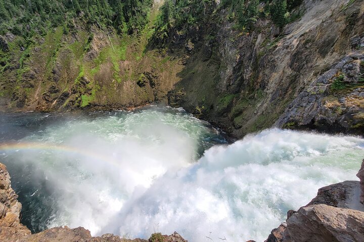 Guided Yellowstone Tour from Big Sky and West Yellowstone
