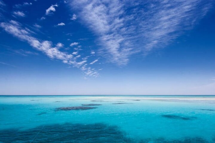 Ras Mohammed & White Island: Snorkel, Optional Dive & Lunch