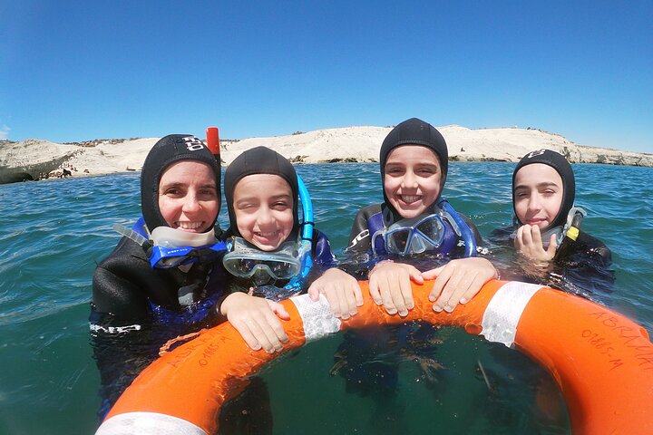 Snorkeling with Sea Lions and Wildlife Adventure