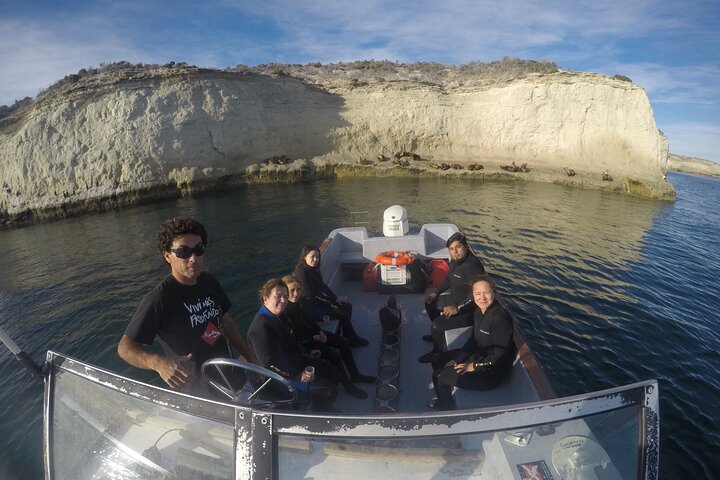 Snorkeling with Sea Lions and Wildlife Adventure
