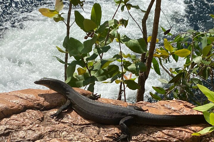 Litchfield & Berry Springs VIP Adventure Day Tours (group of 11)