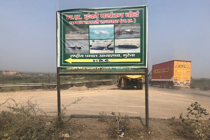 Full-Day Tour to Alligator Eco Park in Morena from Gwalior
