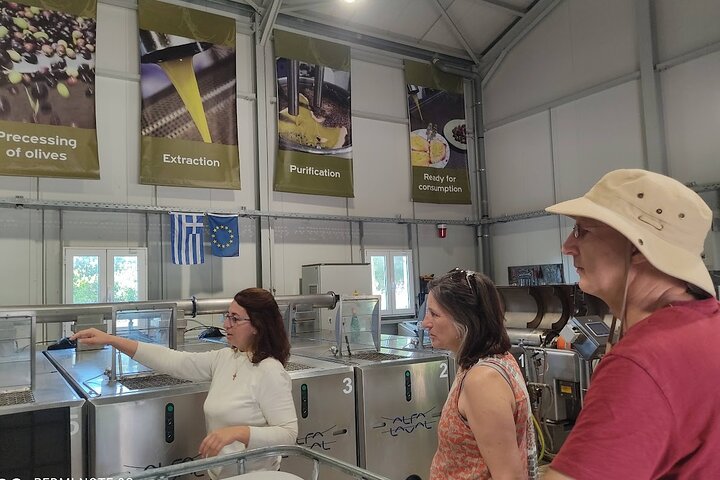 Kefalonia: Private Olive Oil, Honey & Wine Tasting Experience