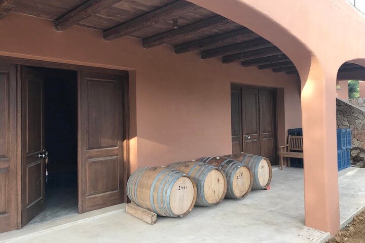 Kefalonia: Private Olive Oil, Honey & Wine Tasting Experience