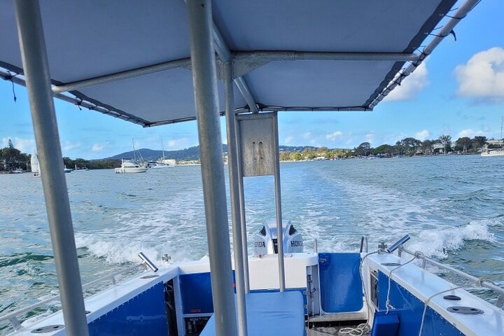 A UNIQUE Whalesongsnoosa Whale watching experience in noosa qld