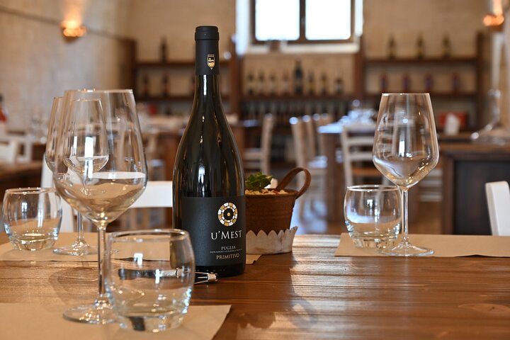 Alberobello Winery: Wine & Food Pairing Experience