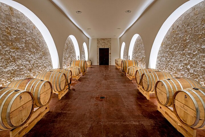 Alberobello Winery: Wine & Food Pairing Experience