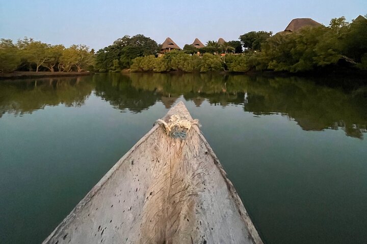 Sunset Canoe Tour on a River within the Mangroves