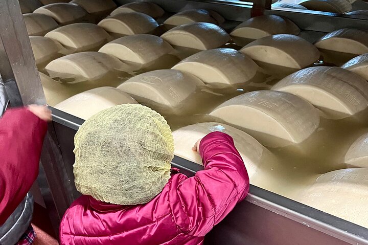 The art of Parmigiano Reggiano and real Balsamic vinegar