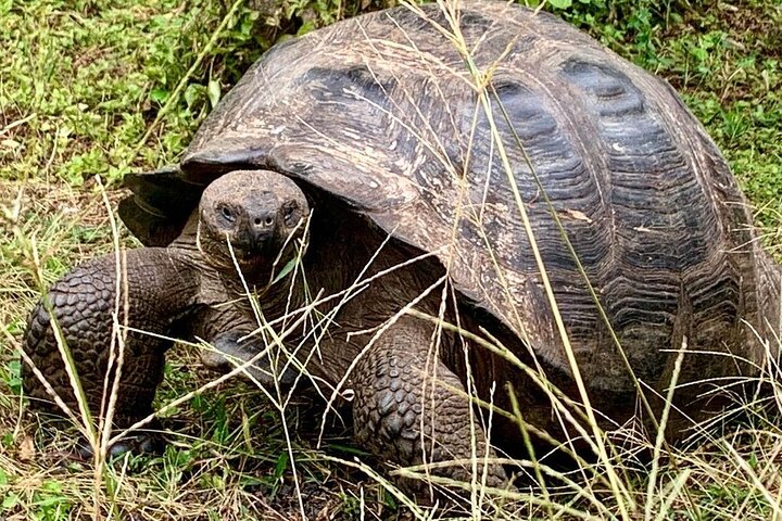 6 Days Galapagos Island Hopping Tour