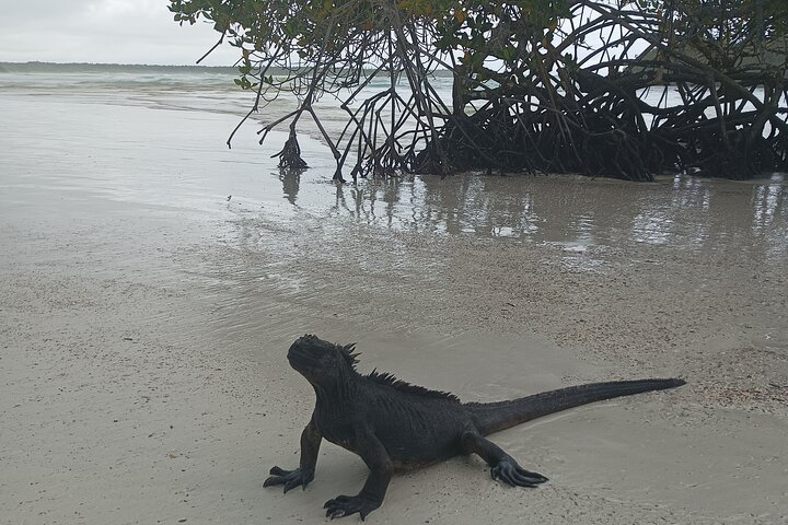 6 Days Galapagos Island Hopping Tour