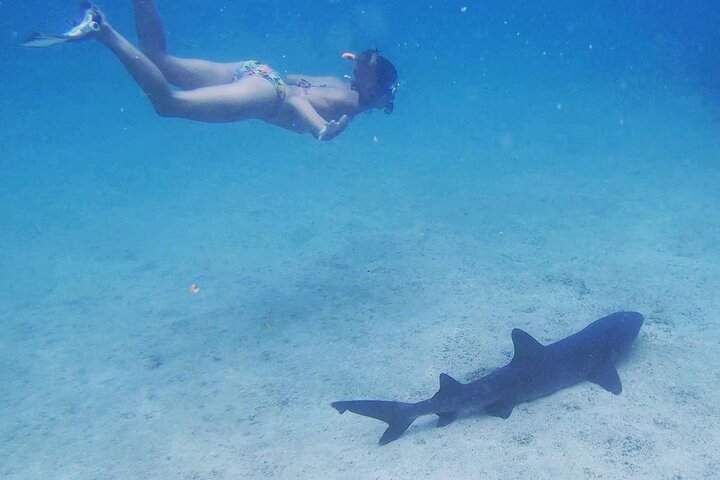 6 Days Galapagos Island Hopping Tour