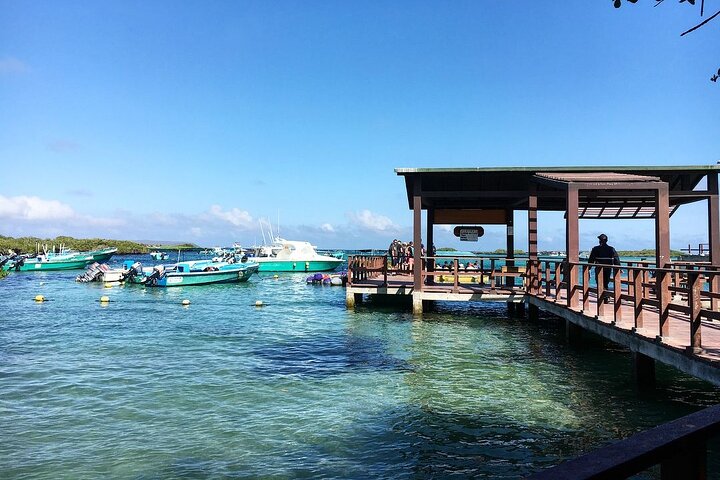 6 Days Galapagos Island Hopping Tour