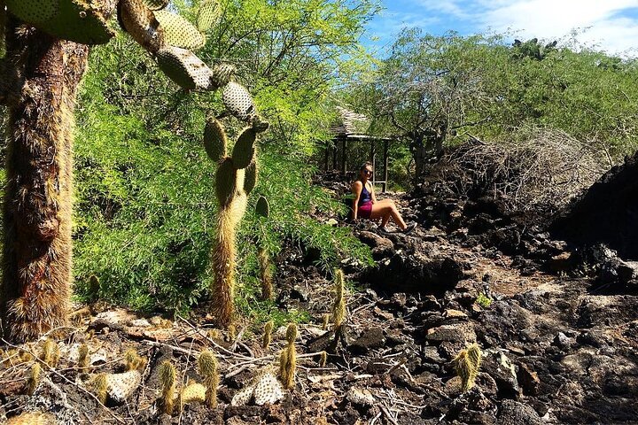 6 Days Galapagos Island Hopping Tour