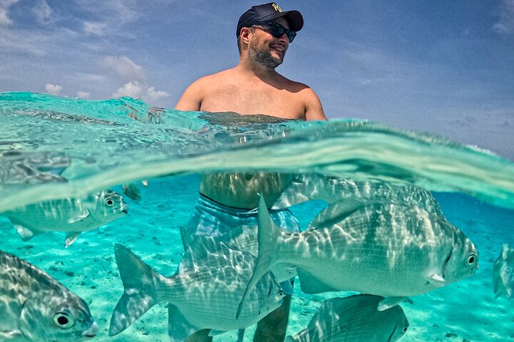 Johnny Kay and Aquarium Natural Full Day semi-private boat