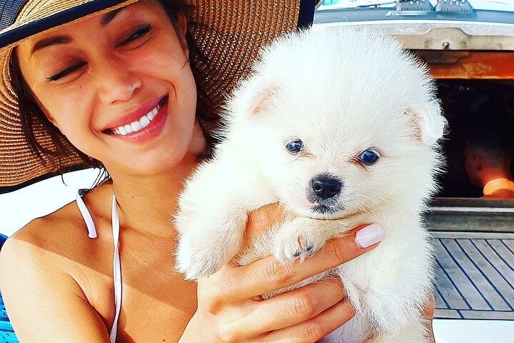 Private Yacht Charter in Koh Samui with Chef"