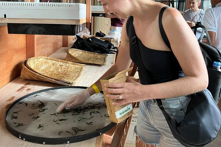 Halpewatte Handmade Tea Tour in Ella Sri Lanka