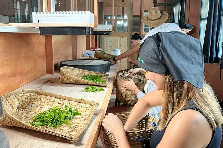 Halpewatte Handmade Tea Tour in Ella Sri Lanka