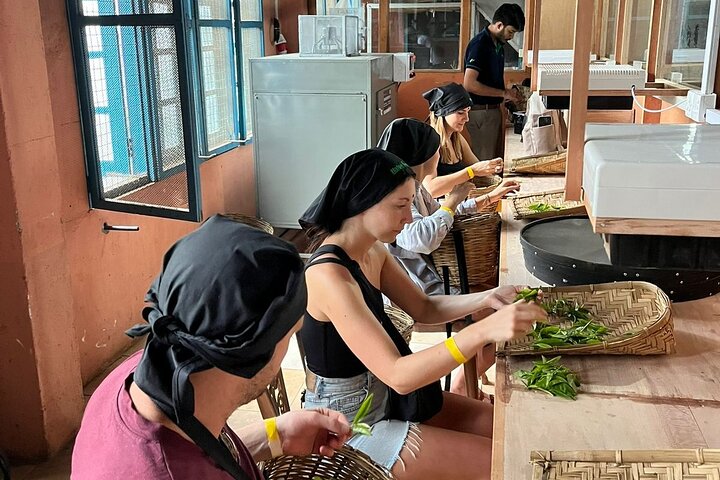 Halpewatte Handmade Tea Tour in Ella Sri Lanka