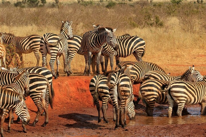 OVERNIGHT SAFARI TO TSAVO EAST NATIONAL PARK FROM MOMBASA orDIANI