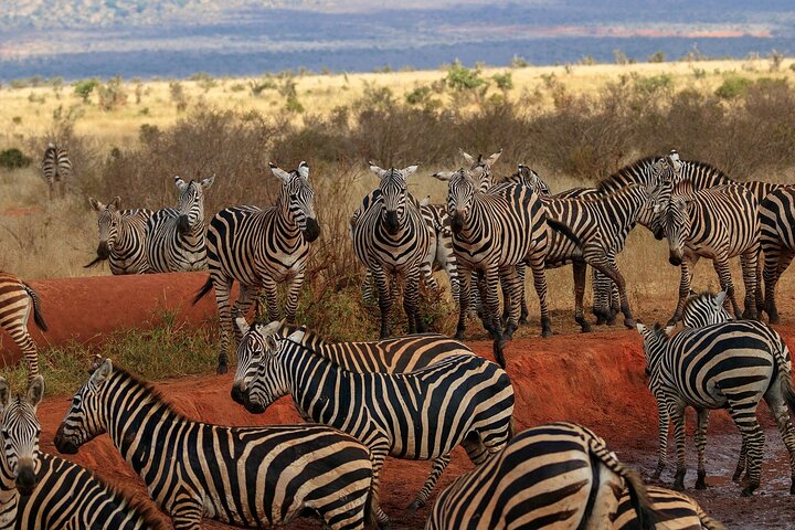 OVERNIGHT SAFARI TO TSAVO EAST NATIONAL PARK FROM MOMBASA orDIANI