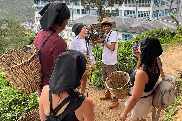 Halpewatte Handmade Tea Tour in Ella Sri Lanka
